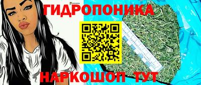 шишки Новокубанск