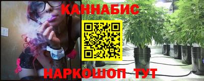сатива Новозыбков