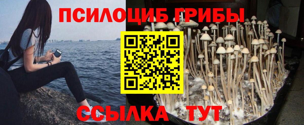 Великий Устюг  купить закладку  Вход с VPN  Псилоцибиновые грибы ЛСД 