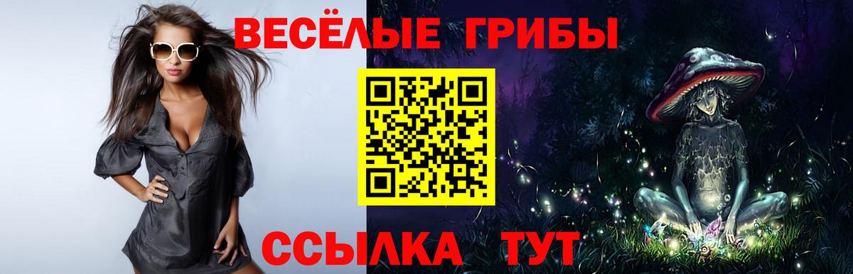 Галлюциногенные грибы ЛСД Великий Устюг